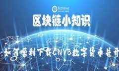 掌握未来金融：如何顺利下载CNYB数字货币并开启