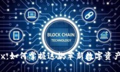 以太坊钱包0x：如何掌握这款革新数字资产的安全