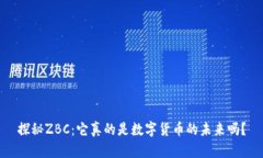探秘ZBC：它真的是数字货币的未来吗？