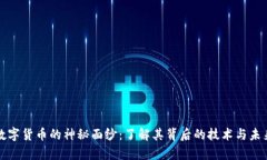 揭开数字货币的神秘面纱：了解其背后的技术与