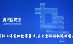 揭秘上海首批数字货币：未来金融新机遇的前奏