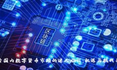 探索国内数字货币市场的迷人旅程：机遇与挑战