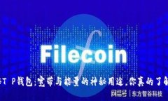 揭秘T P钱包：宽带与能量的神秘用途，你真的了
