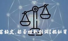 TP钱包推荐好友，能否赚取利润？揭秘背后的秘密