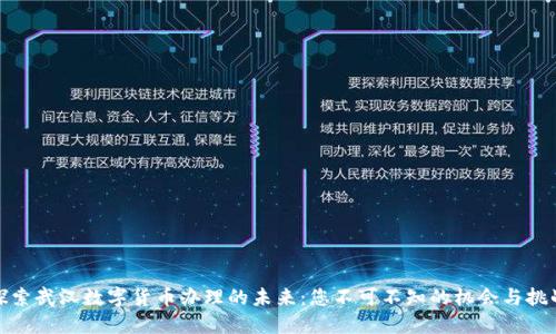 探索武汉数字货币办理的未来：您不可不知的机会与挑战