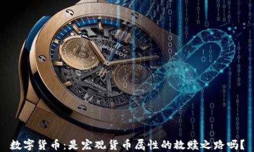 
数字货币：是宏观货币属性的救赎之路吗？