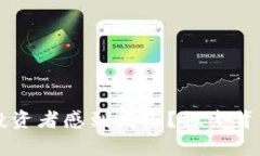 TP钱包更新后为何让投资者感到失落？探索背后的