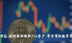 解密TP钱包：如何轻松提取File资产，帮你驾驭数