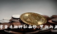 揭开央行数字货币的神秘面纱：罗湖的未来金融