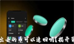 TP钱包转出去的币可以追回吗？揭开背后的真相