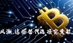 面对数字货币的风潮，这些替代选项究竟能否引