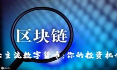 探索十大主流数字货币：你的投资机会与风险