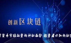 揭开数字货币市场融资的神秘面纱：投资者必知