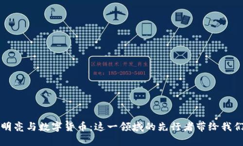 揭秘褚明亮与数字货币：这一领域的先行者带给我们的启示