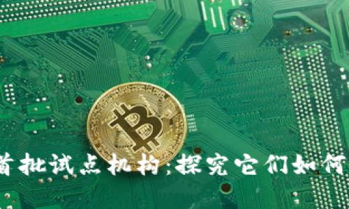 题目：数字货币首批试点机构：探究它们如何重塑我们的未来