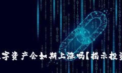TP钱包中的数字资产会如期上涨吗？揭示投资背后