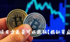 TP钱包资金池项目方是否可以撤销？揭秘背后的真