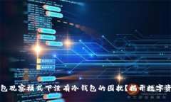 如何应对TP钱包观察模式下没有冷钱包的困扰？揭