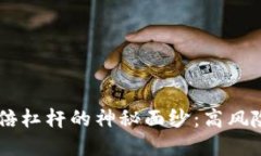 揭开数字货币30倍杠杆的神秘面纱：高风险中的机