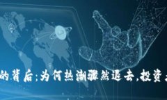 数字货币熄火的背后：为何热潮骤然退去，投资