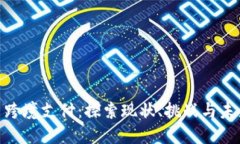 数字货币跨境支付：探索现状、挑战与未来的机