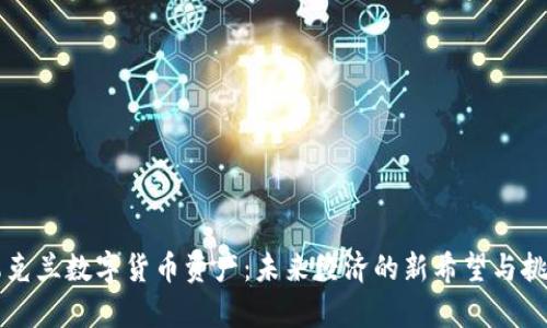 乌克兰数字货币资产：未来经济的新希望与挑战