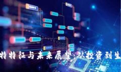 数字货币的独特特征与未来展望：从投资到生活