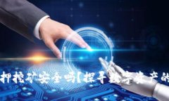 TP钱包质押挖矿安全吗？探寻数字资产的保护秘笈