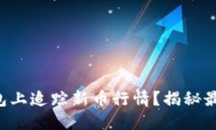 如何在TP钱包上追踪新币行情？揭秘最实用的方法