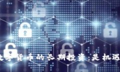 探索国外数字货币的长期投资：是机遇还是风险