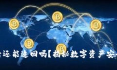 TP钱包被盗后还能追回吗？揭秘数字资产安全与补