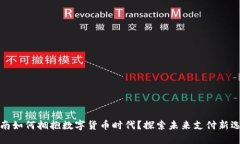 河南如何拥抱数字货币时代？探索未来支付新选