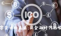 探索元数字货币的未来：新金融时代的崛起与挑