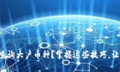如何在TP钱包中查询大户币种？掌握这些技巧，让