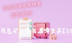 : 全面解析：TP钱包矿工费用在哪里买？2024年最新