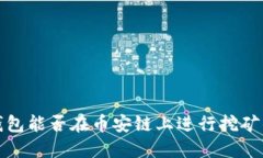 探讨TP钱包能否在币安链上进行挖矿的可能性