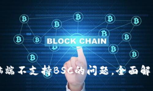 如何解决TP钱包电脑端不支持BSC的问题，全面解析你的数字货币管理