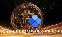 如何解决TP钱包电脑端不支持BSC的问题，全面解析