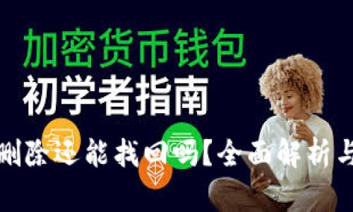 TP钱包被删除还能找回吗？全面解析与解决方案