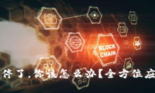 如果TP钱包关停了，你该怎么办？全方位应对策略与解答