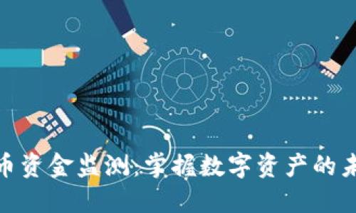 数字货币资金监测：掌握数字资产的未来趋势
