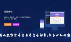 2023年国内数字货币交易平台全解析：新手必知的