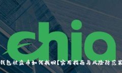 TP钱包被盗币如何找回？实用指南与风险防范策略