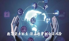 数字货币鱿鱼：潜在投资机会与风险