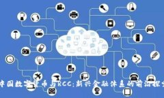 中国数字货币与RCC：新兴金融体系的前沿探索