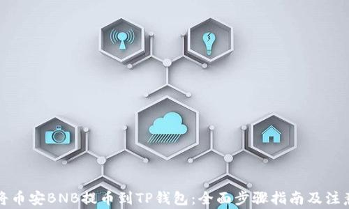 
如何将币安BNB提币到TP钱包：全面步骤指南及注意事项